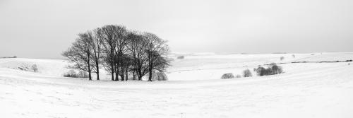 Steyning Bowl In The Snow Print